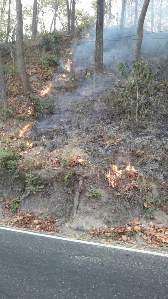 forest  caught fire during  Mock Drills  in haridwar
