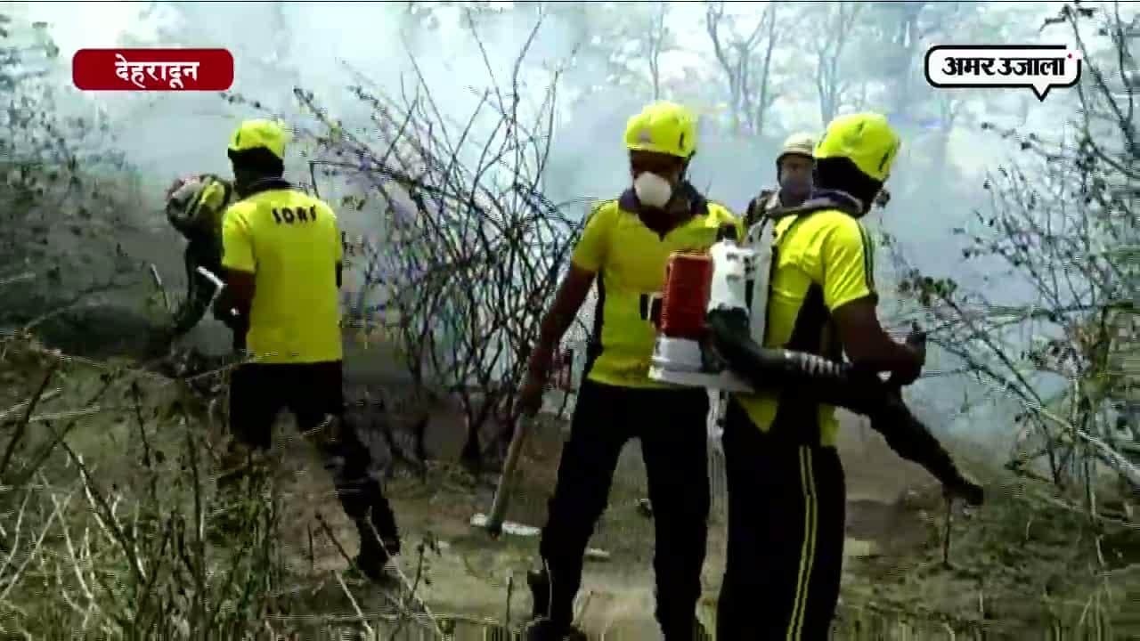 देहरादून वन विभाग 