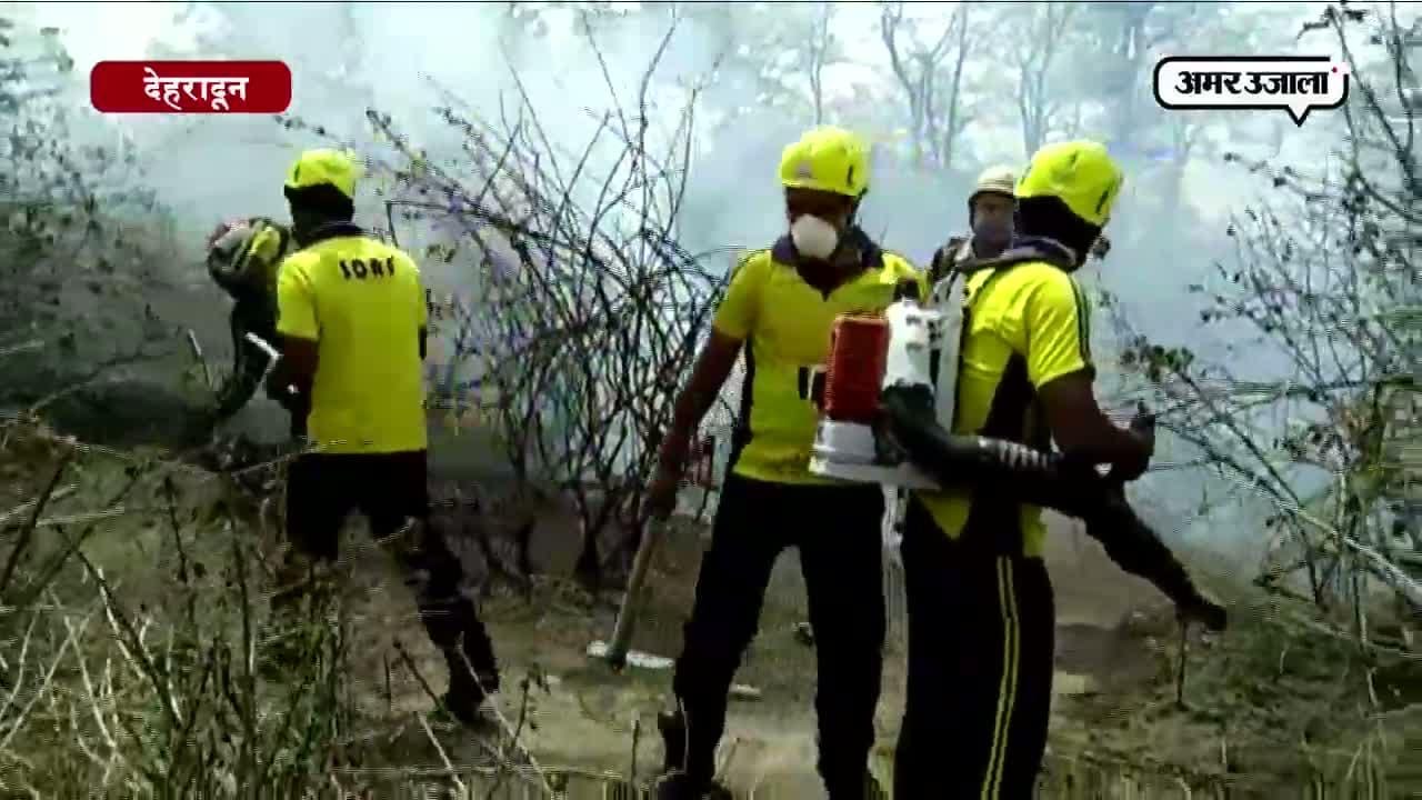 देहरादून वन विभाग 