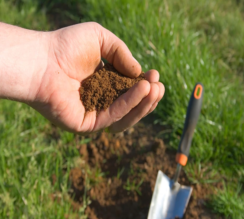 soil colour can change your life