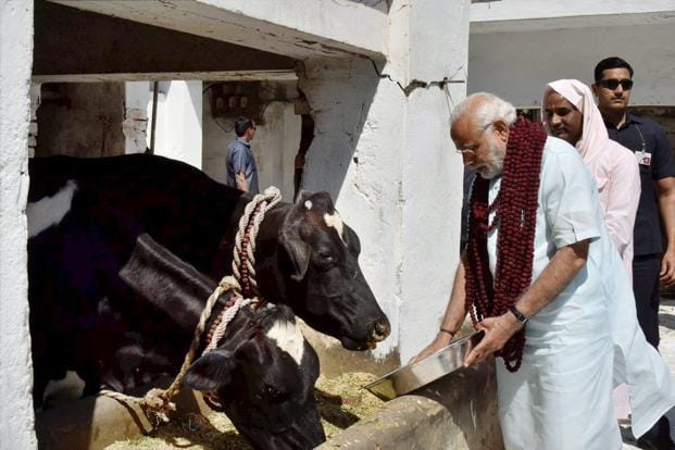 project cow will be launch soon in says Minister Hansraj Ahir