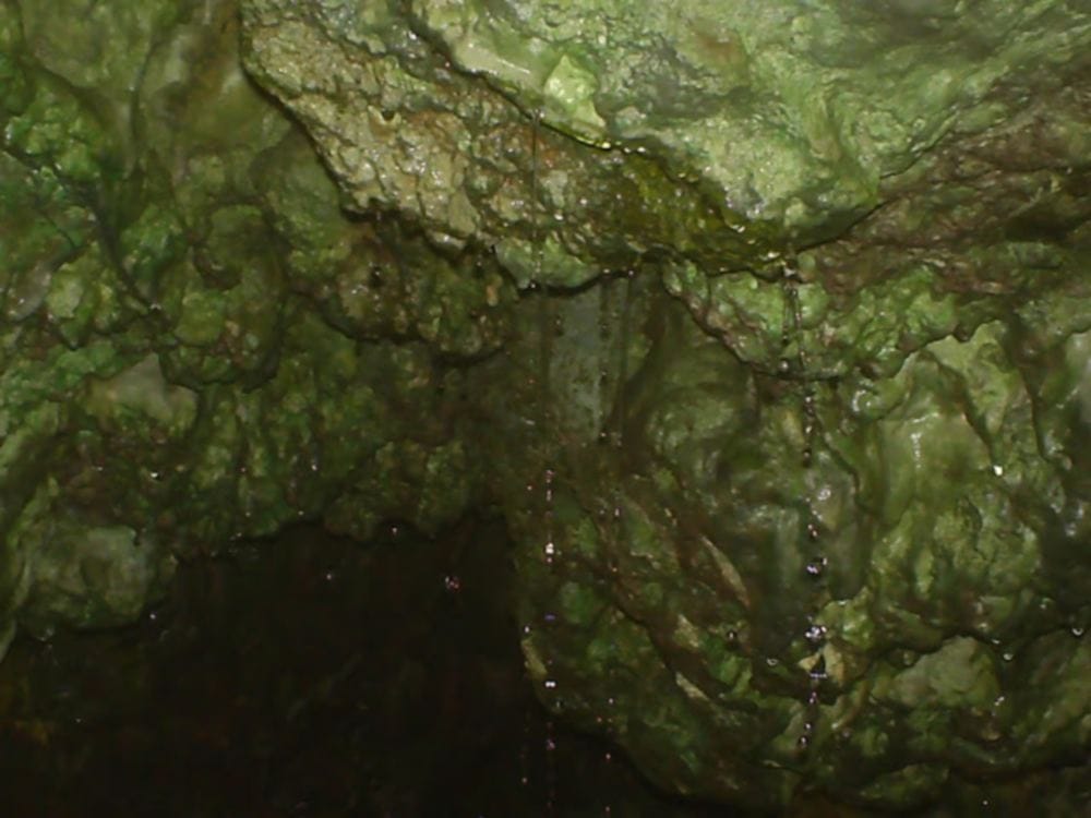 Water dripping from cave in Sahastradhara
