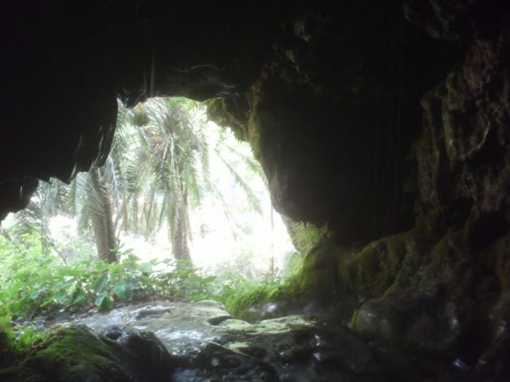 Water dripping from cave in Sahastradhara
