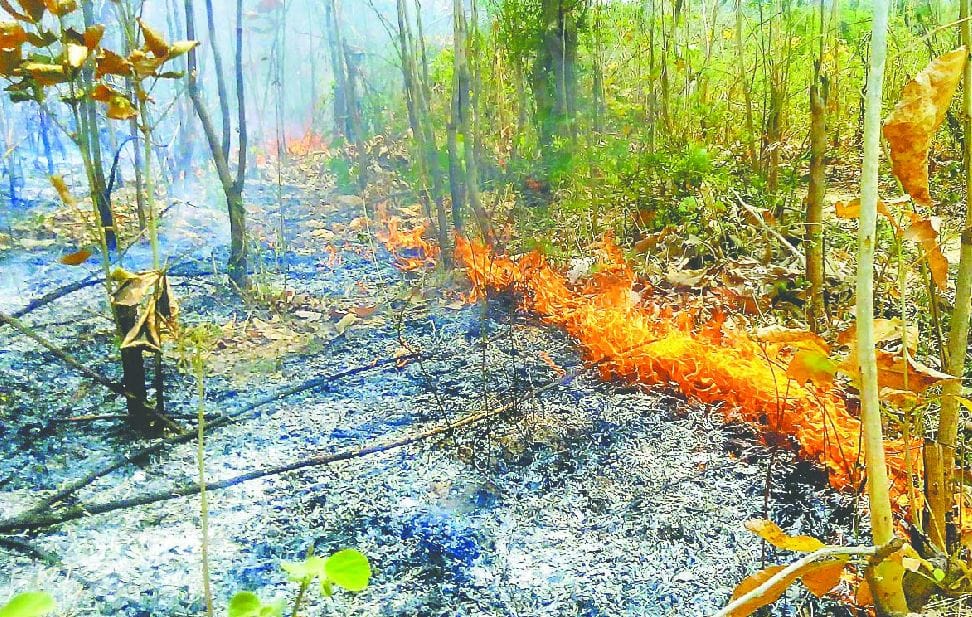 crop burn in laksar