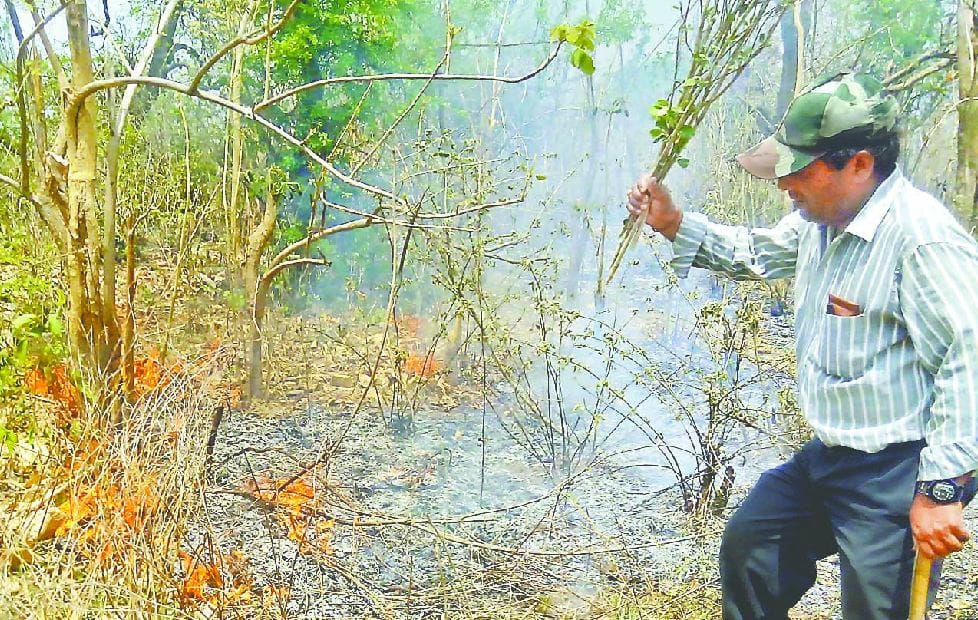 holi 2018 bring money for forest department employee 