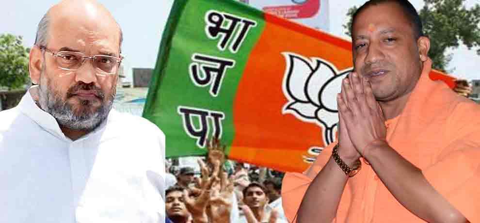 5 reasons why bjp top leadership do not campaign in mcd election 2017