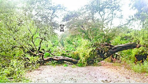 Weather with thunderstorms to change with hail