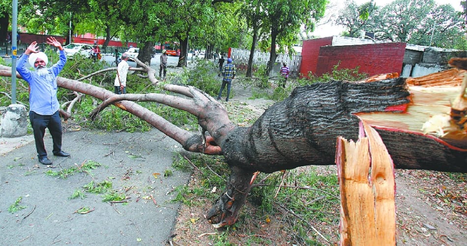 Strong wind, dust storm bring down Chandigarh temperature