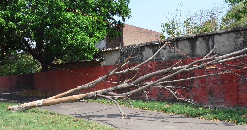 Strong wind, dust storm bring down Chandigarh temperature