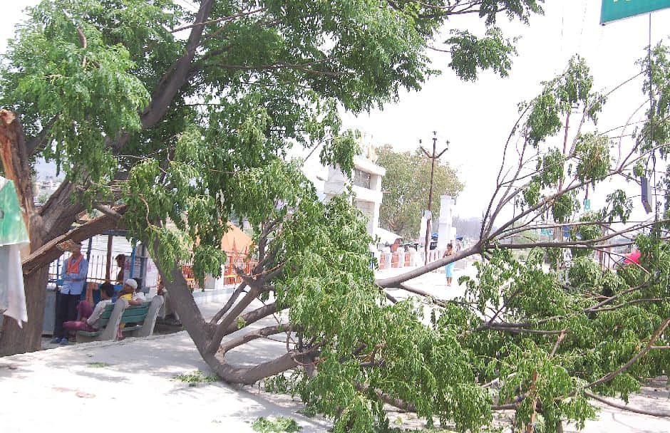 a woman died due to heavy rain in uttarakhand 