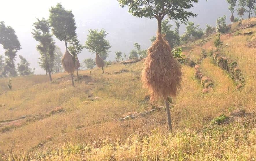 a woman died due to heavy rain in uttarakhand 