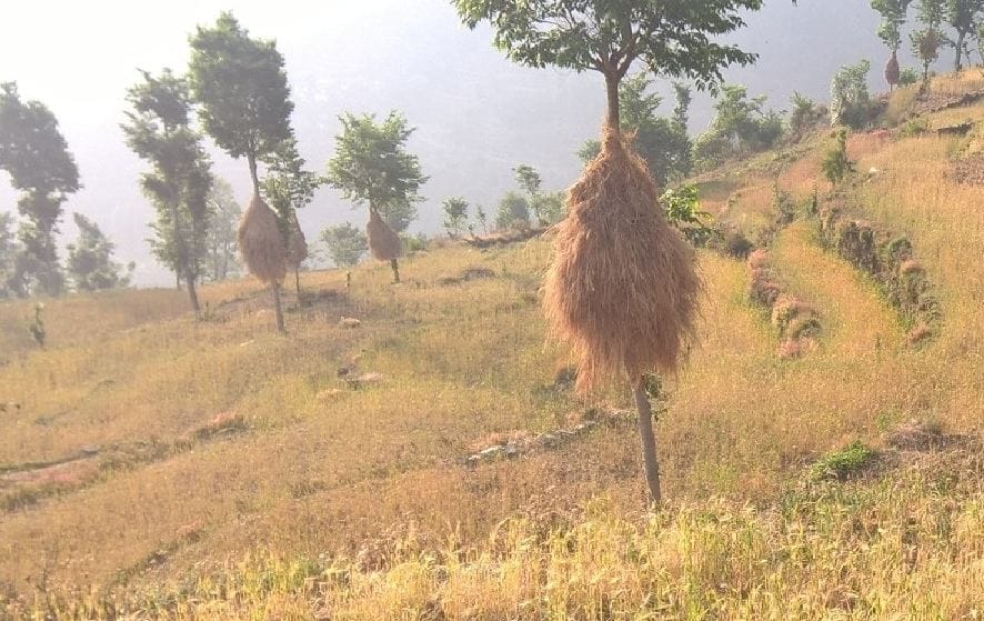 a woman died due to heavy rain in uttarakhand 