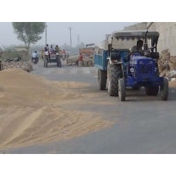 village rukhi do not avail the land, rohtak panipat highway put on the wheat
