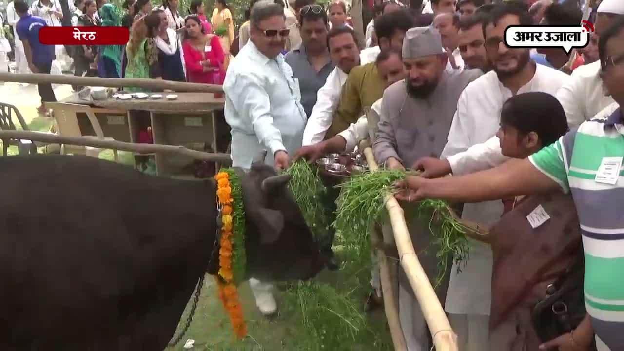 10,000 लोगों ने गौसेवा करके बनाया विश्व रिकार्ड