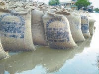 administrative and lifting agencies, millions of stranded wheat, Kurukshetra