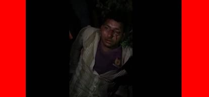  3 assaulted by animal activist for transfering buffaloes in delhi
