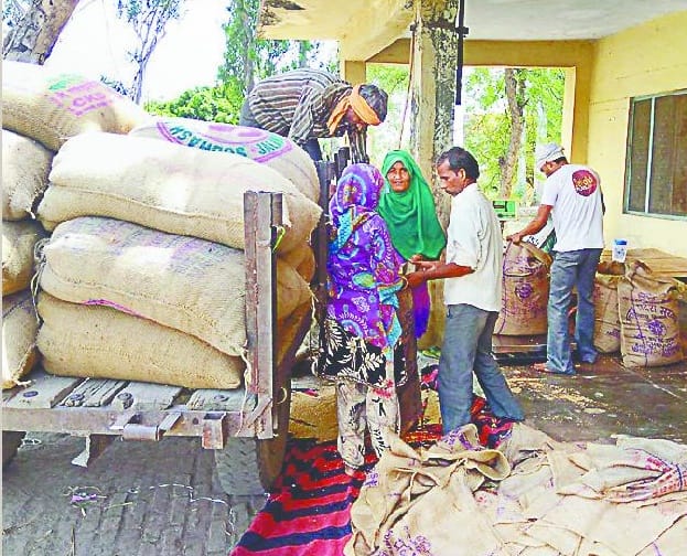 Only 10% of wheat procurement