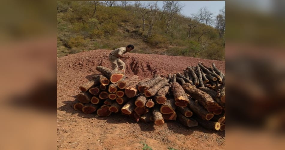attack on forest department's employee