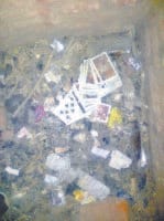 bhi uday sing fort, park, police, people, kaithal