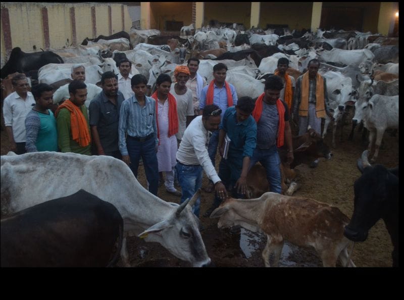 jile mein vikasit hoga kaanha upavan