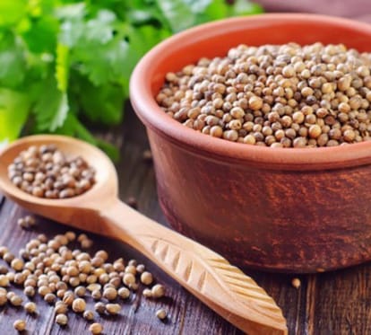 these super foods will help you to fight with urine infection
