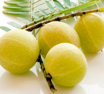 these super foods will help you to fight with urine infection