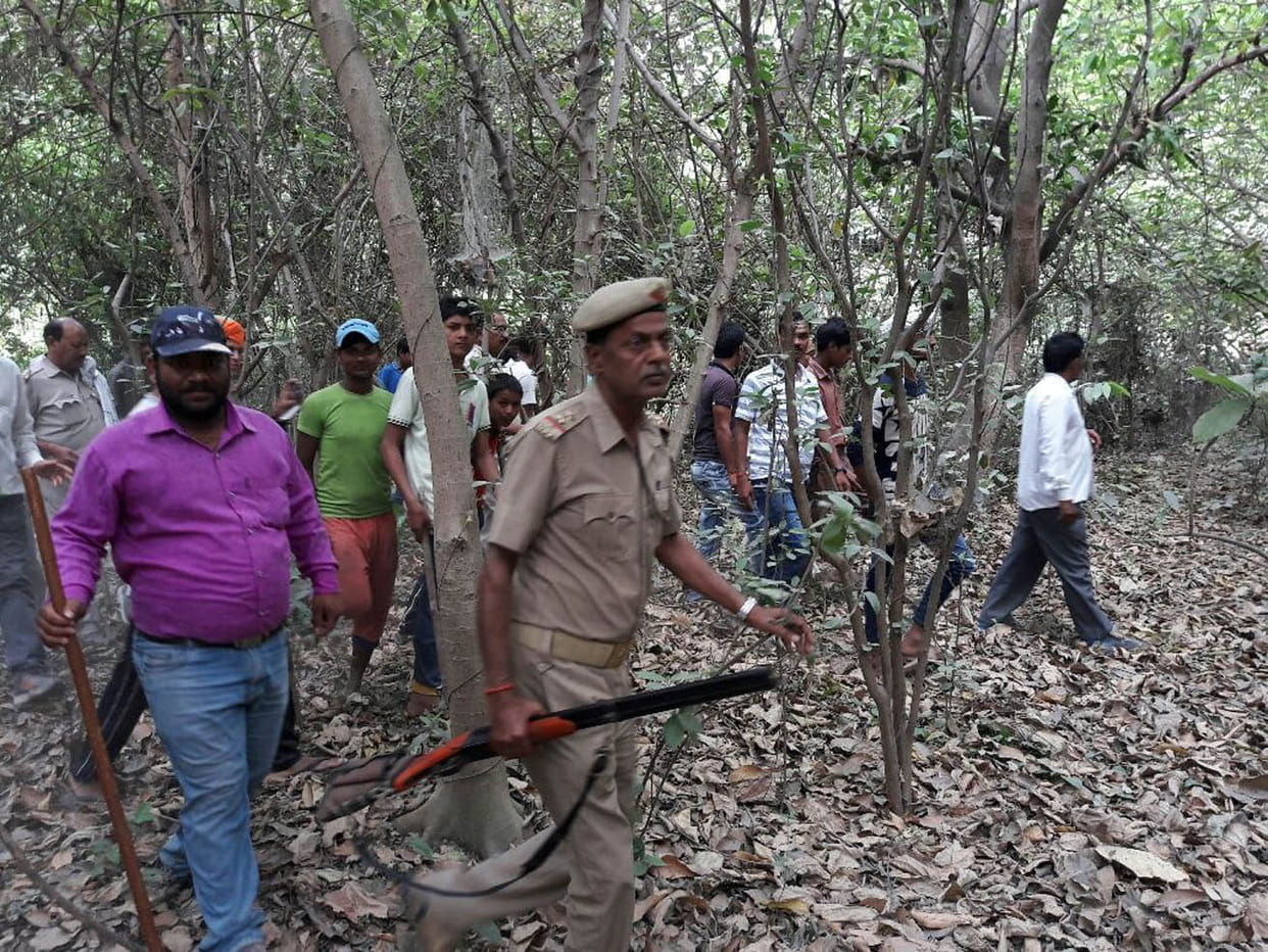 Leopard disappears by showing a glimpse