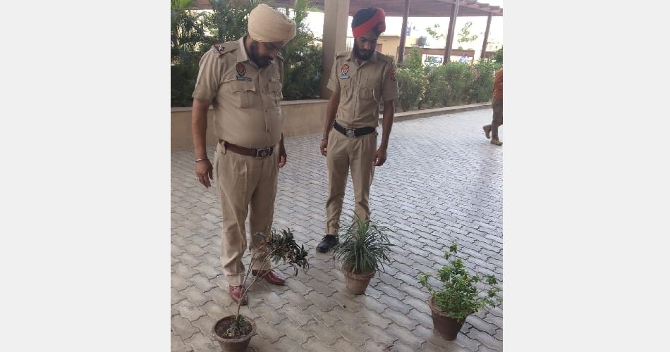 Death of a young man falling from the 8th floor