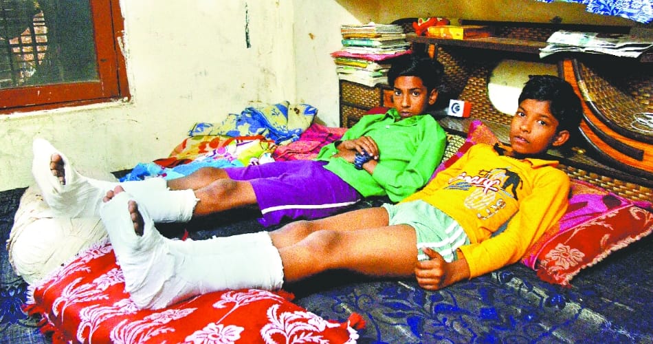 terror of  monkeys in chandigarh