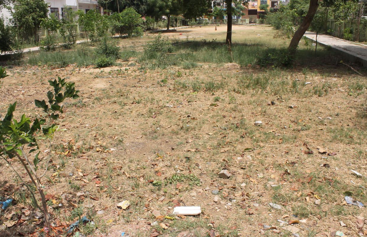 Park damage, Roads Crumbled