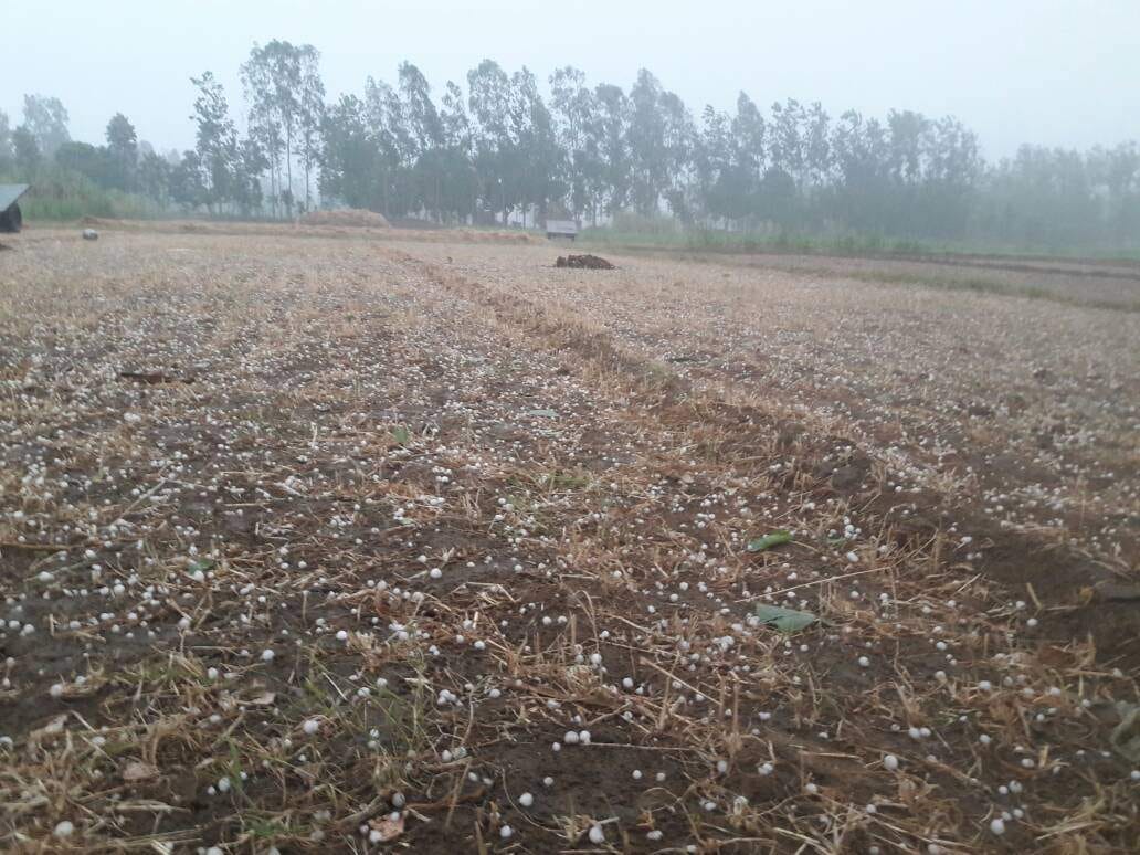 Land bought 40 rupees, sold 10 thousand yards