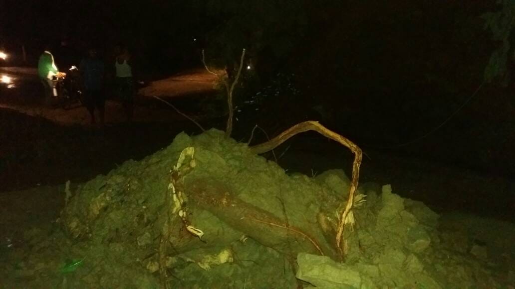 slightly raining in varanasi,many tress fell down due to fastest wind