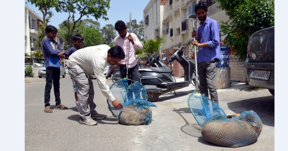 एंटी रेबीज की किल्लत से परेशान हैं जिले के  लोग