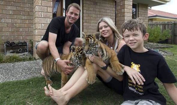Brazilian family having 7 tigers in their house