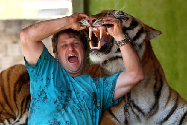 Brazilian family having 7 tigers in their house