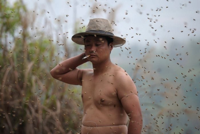 Beekeeper Covered His Entire Body With 460,000 Bees