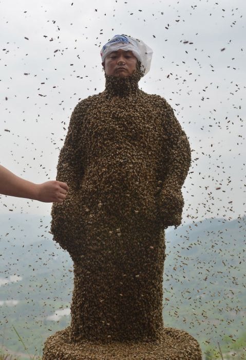 Beekeeper Covered His Entire Body With 460,000 Bees
