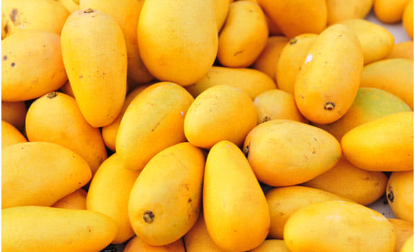 India may export mangoes at first time to australia