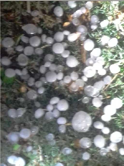 Lightning struck with a storm, wet with rain