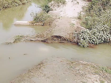 Ragbaha burst in shivali, filled in wheat fields