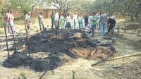 jind,  fire, dead, 3 children,   harayana