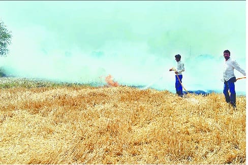beri bishan road, fire in crop, jhajjar