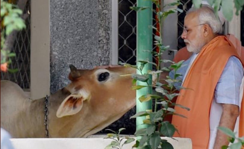  Central government submitted its report to Supreme Court, suggests Aadhar Card Like System For Cows