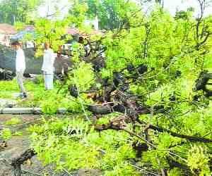  Lightning-watering gill of 10 lakhs from the storm