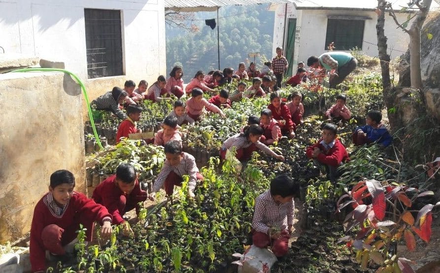 school kids make very big nursery 