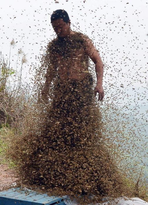 Beekeeper Covered His Entire Body With 460,000 Bees