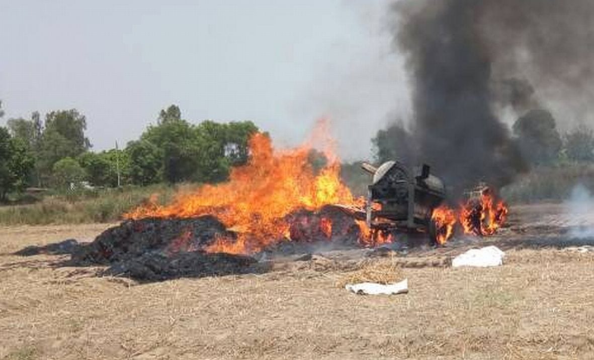 12 beige wheat crop burn.