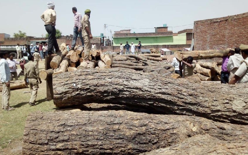 Three trolley teak wood recovered by forest department