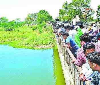 hotel traders jumped into the river