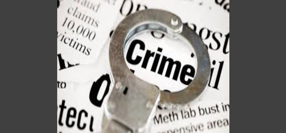 licence fraud gets 2 days bail in gurugram
